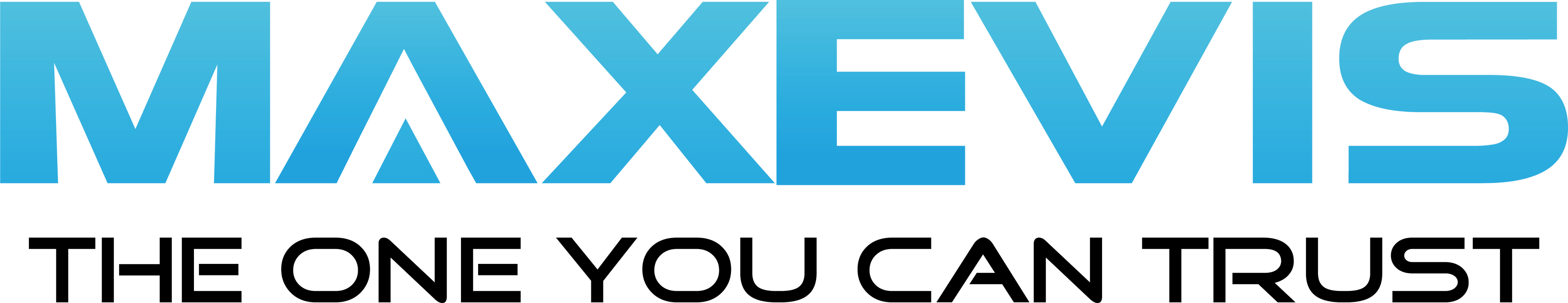 MAXEVIS STORE